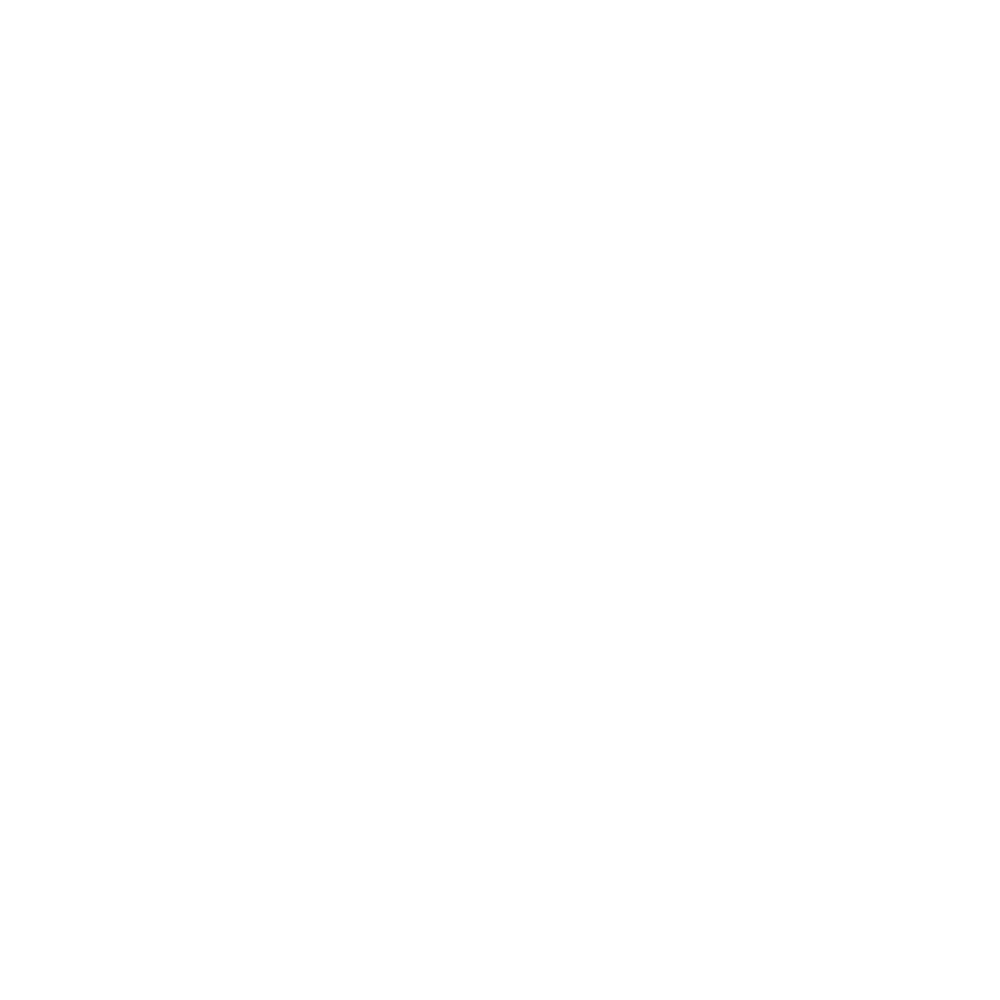 Velosa & Co.